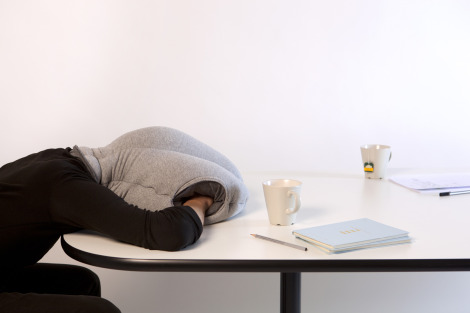 Büro-Schlafsack Ostrich